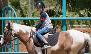 Equine therapy for dyspraxia