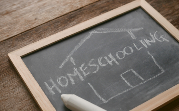 Homeschooling: What is it and is it possible in India?