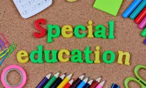 What is Special Education